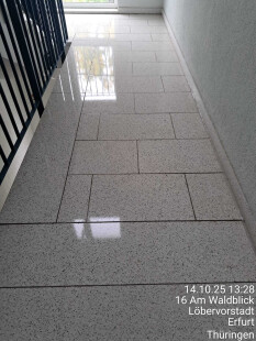 preview.image