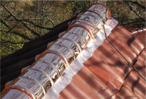 Moritz Schwind Dachdeckermeister