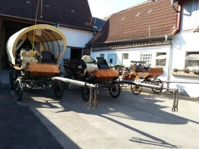 Claudia Christoph Pferdebetrieb FN - Fahrschule FN …