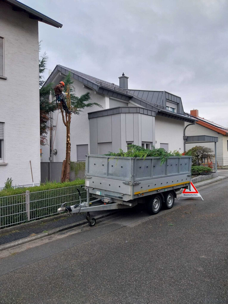 HD Baum&Gartenpflege - 1000024690.jpg