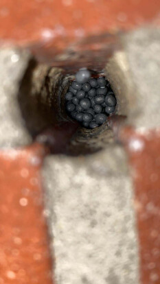 preview.image