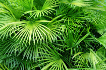 Rolf Meyer Garten- u. Landschaftsbau