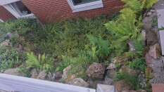 preview.image