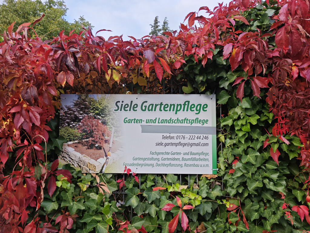 Siele Gartenpflege - 1