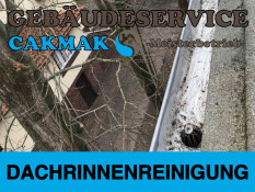 preview.image
