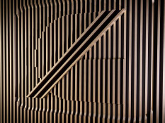 preview.image