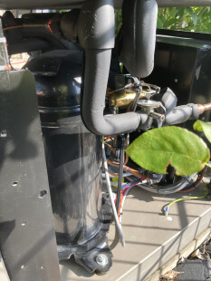 preview.image