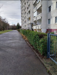 preview.image