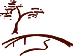 preview.image