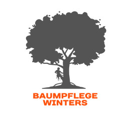 Baumpflege Winters - 1