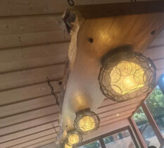 preview.image