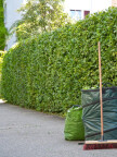 AF Clean & Property Services