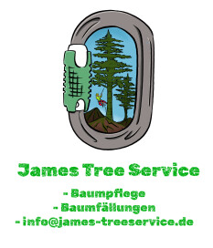 preview.image
