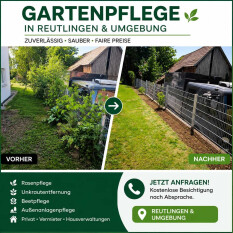 preview.image
