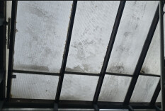 preview.image