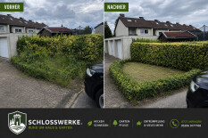 preview.image