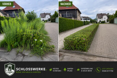 preview.image