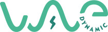 Wave Dynamic