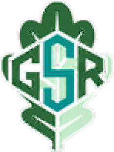 preview.image