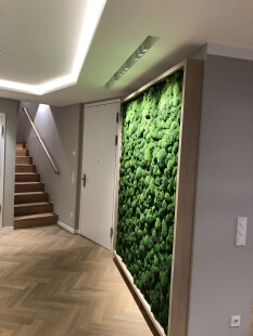 preview.image