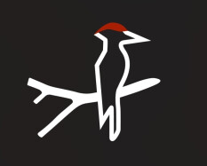 preview.image