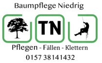 Baumpflege Niedrig – Tim Niedrig