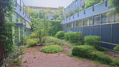 preview.image