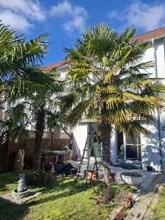 preview.image