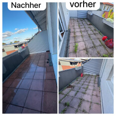 preview.image