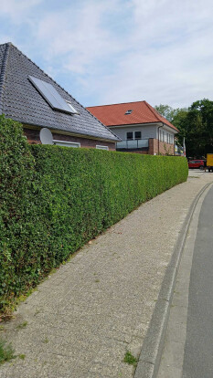 preview.image