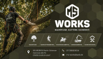 MS Works
