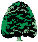 Baumpflege Kraus