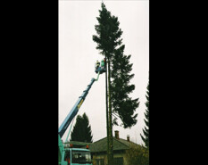 preview.image