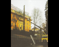 preview.image