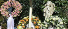 preview.image