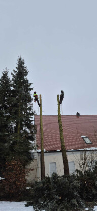 preview.image