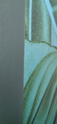 preview.image