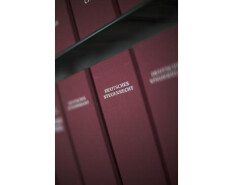 preview.image