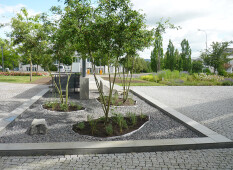 preview.image