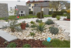 preview.image