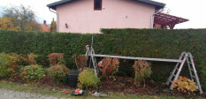 preview.image