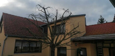 preview.image