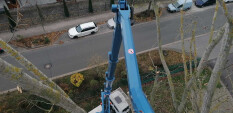 preview.image