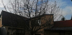 preview.image