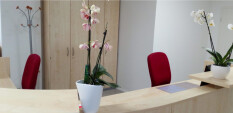 preview.image