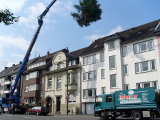 preview.image