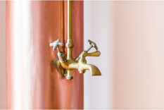 preview.image