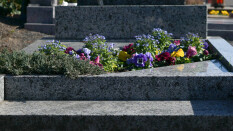 preview.image