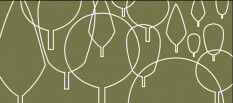 preview.image