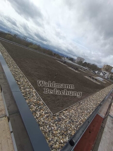 preview.image